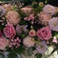 Re: Hydrangea stems how much??