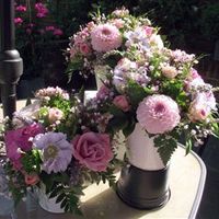 Re: Hydrangea stems how much??