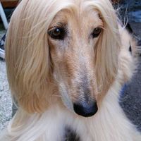 Re: Thinking people look like you