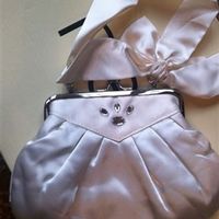 Shoes, Bag,Tiara and Glitzy Secrets Hair Slide for Sale