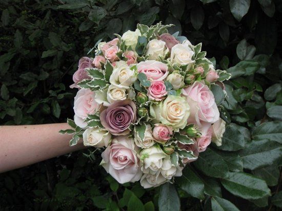 I need help with chosing flowers!!!