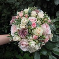 I need help with chosing flowers!!!