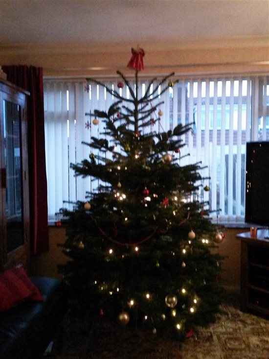 Re: ITS CHRISSSSSSSSSSSTMAS!! *Flash your festivities*