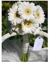 My wedding plans - lots of flashes! 