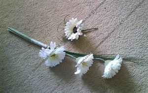 Re: Alternative to Bridesmaids Posies