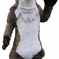 Re: Custard's Otter Sanctuary