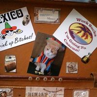 Our slippers & suitcase decorated *flashy*