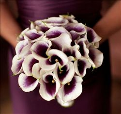 Planning Post - Flash heavy