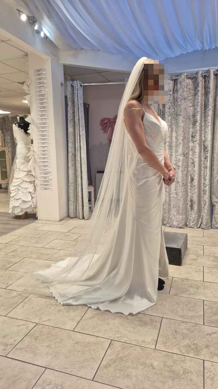 Has anyone bustled a short train? - 1