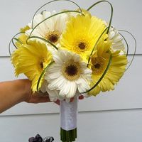 Re: Gerbera Bouquets