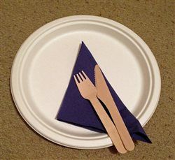 Disposable paper plates, wooden cutlery and napkins