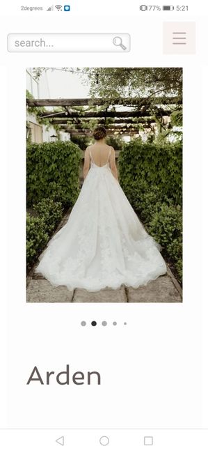 Dress - Yes or No - 2