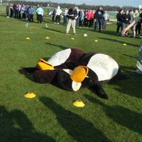 hen doo report... with 4 weeks and 4 days to goo!!! :)