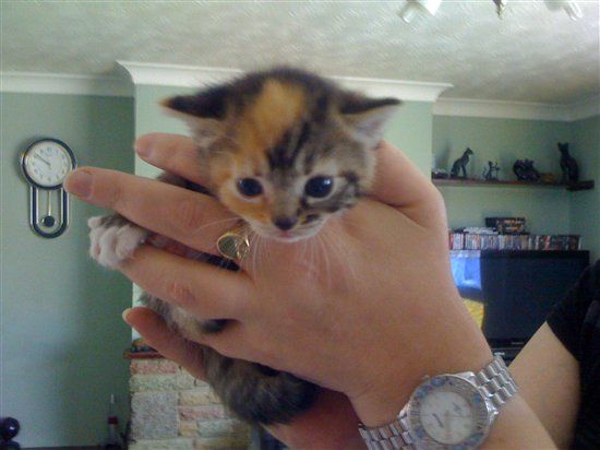 Another help with name ideas post