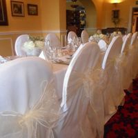 Can you help me choose pleassseeeeeeee