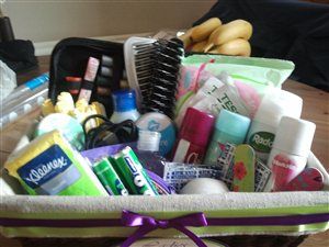 Re: Baskets in the toilets - what are you putting in them?!