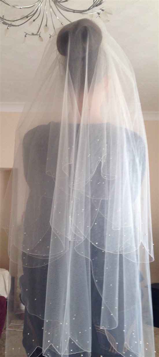 Re: My veil has arrived!