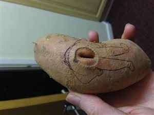 Food with body parts