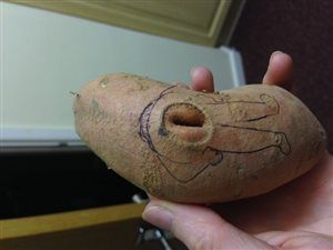 Food with body parts