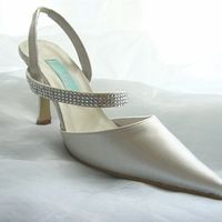Re: Would these shoes go with my dress??