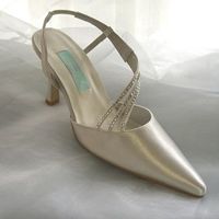 Re: Would these shoes go with my dress??