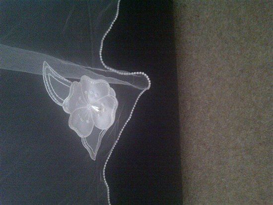 Re: Anything Vintage and a cathedral length ivory veil!