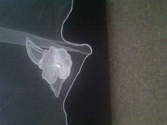 Re: Anything Vintage and a cathedral length ivory veil!