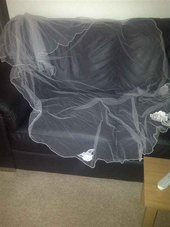 Re: Anything Vintage and a cathedral length ivory veil!