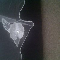 Re: Anything Vintage and a cathedral length ivory veil!