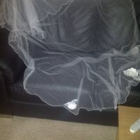 Re: Anything Vintage and a cathedral length ivory veil!