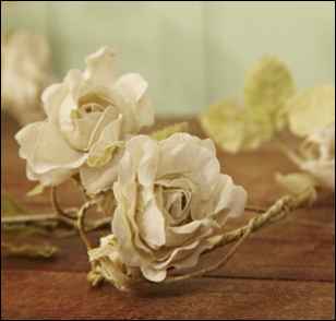 Re: Bird cages / shabby chic centre pieces - fairtytale theme wedding