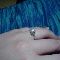 Re: Anyone interested in a ring flash?