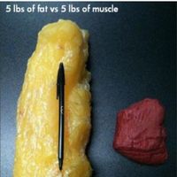 Re: Summer fitness plan starts now - join in!