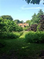 what i have been up to