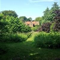 what i have been up to