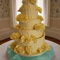 what i have been up to