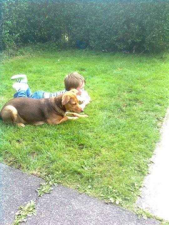 Re: Dogs and babies
