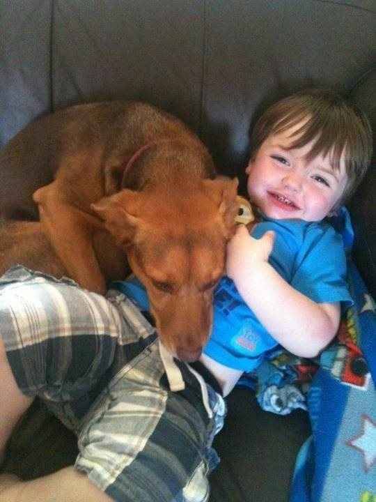 Re: Dogs and babies