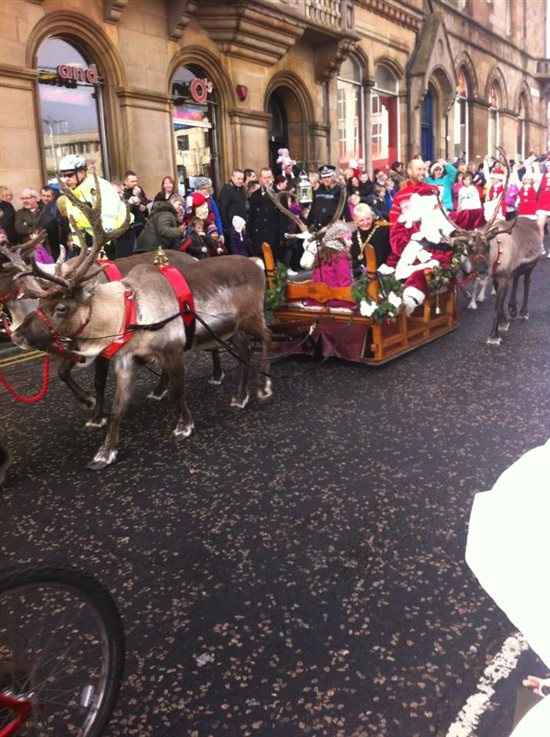Re: a little festive flash from today     :-)