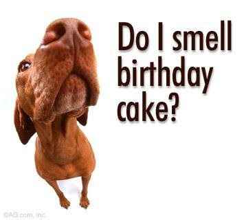 Re: Happy Birthday! (One for dog lovers)