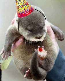 Re: It's my hitched birthday