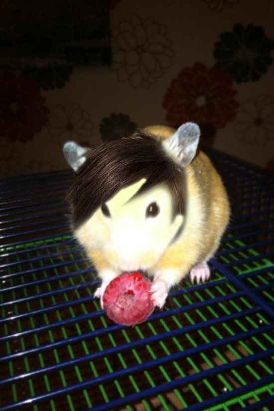 Re: Random happy flashes!