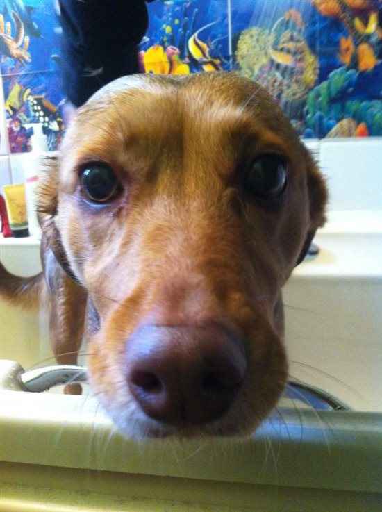 Re: Show me your pets