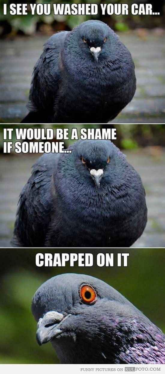 Re: Let's cheer up Twiga