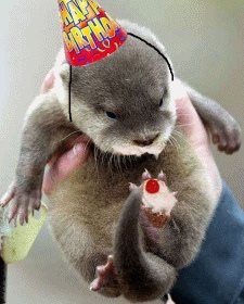 Happy Birthday Gnashers!