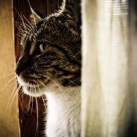 Re: o/t i think with all this pet talk, we need to flash our furry friends........