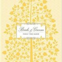 Table decorations, sweetie jars, tiara and other wedding things