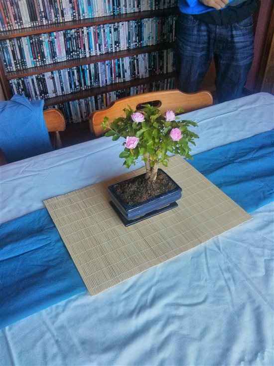 Re: Centrepeice Ideas - Help!