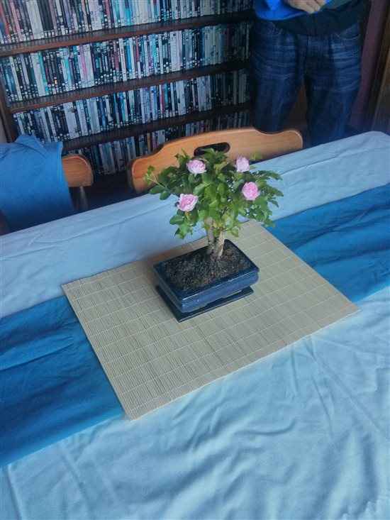 IGBMN's 9 weeks to go planning ***flashfest***