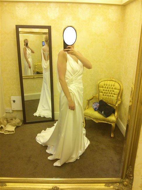Re: FUN POST! What made you choose your dress?